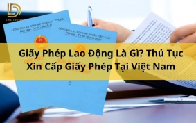 Giấy Phép Lao Động Là Gì? Thủ Tục Xin Cấp Giấy Phép Tại Việt Nam LDLAWYER