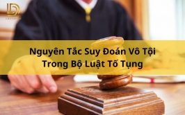Nguyên Tắc Suy Đoán Vô Tội Trong Tố Tụng Hình Sự LDLAWYER