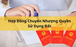 Hợp Đồng Chuyển Nhượng Quyền Sử Dụng Đất LDLAWYER