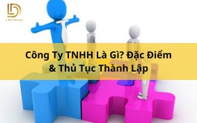 Công Ty TNHH Là Gì? Đặc Điểm & Thủ Tục Thành Lập LDLAWYER