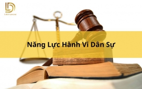 Năng Lực Hành Vi Dân Sự - Tất Tần Tầt Thông Tin Mới Nhất LDLAWYER