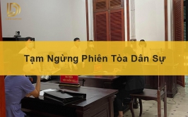 Tạm ngừng phiên tòa dân sự LDLAWYER