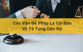 Các vấn đề pháp lý cơ bản về tố tụng dân sự LDLAWYER
