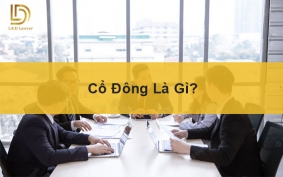 Cổ đông là gì? LDLAWYER