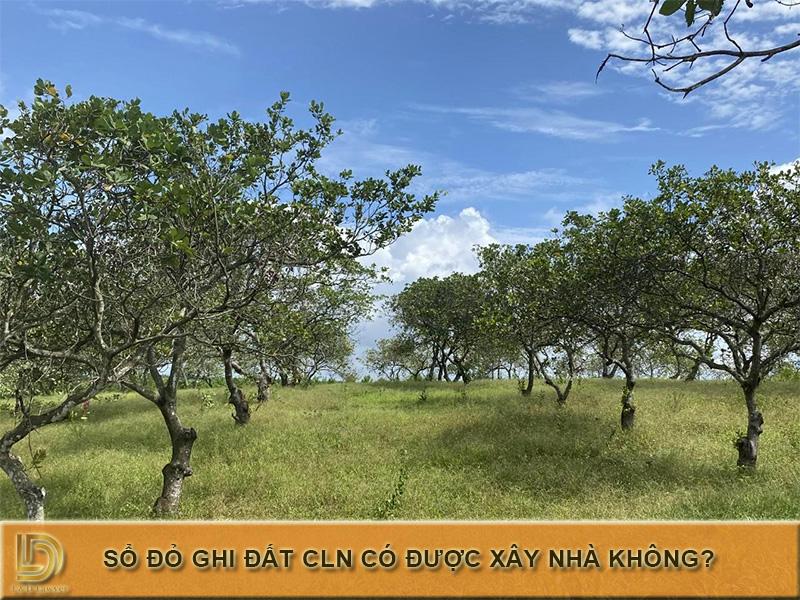 Ký hiệu CLN là đất gì? Sổ đỏ ghi đất CLN có được xây nhà không? LDLAWYER