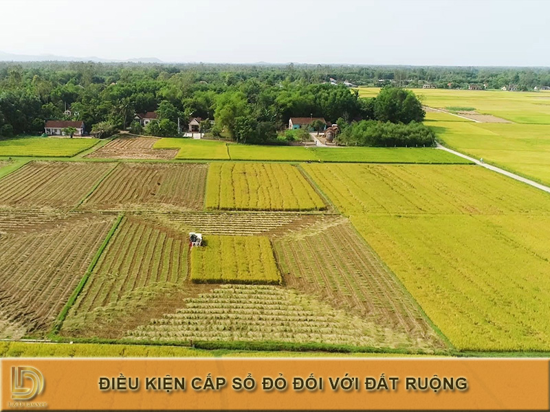 Đất ruộng là đất gì? Điều kiện cấp sổ đỏ đối với đất ruộng hiện nay LDLAWYER