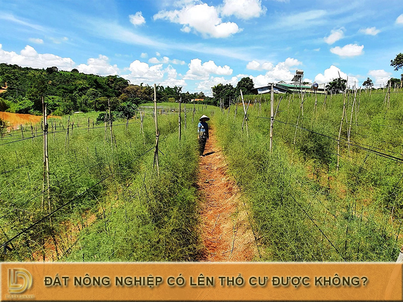 Đất nông nghiệp gồm những loại nào? Có lên thổ cư được không? LDLAWYER