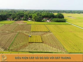 Đất ruộng là đất gì? Điều kiện cấp sổ đỏ đối với đất ruộng hiện nay LDLAWYER