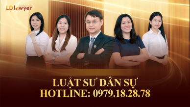 Dân sự LDLAWYER
