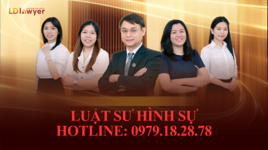 Hình sự LDLAWYER
