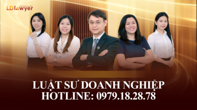 Doanh nghiệp - Đầu tư LDLAWYER